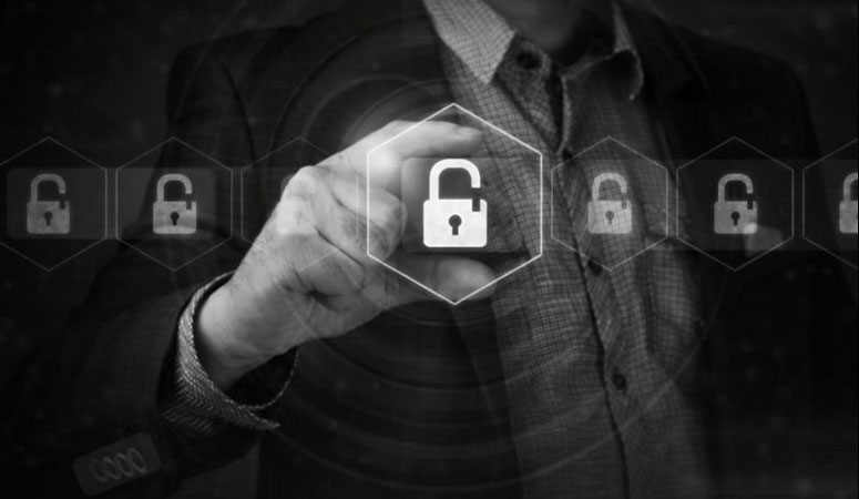 Security Consultants